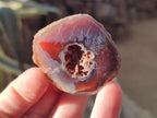 Polished One Side Small Red Shashe River Agate Nodules x 20 From Shashe River, Zimbabwe - Toprock Gemstones and Minerals 