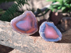 Polished One Side Small Red Shashe River Agate Nodules x 20 From Shashe River, Zimbabwe - Toprock Gemstones and Minerals 