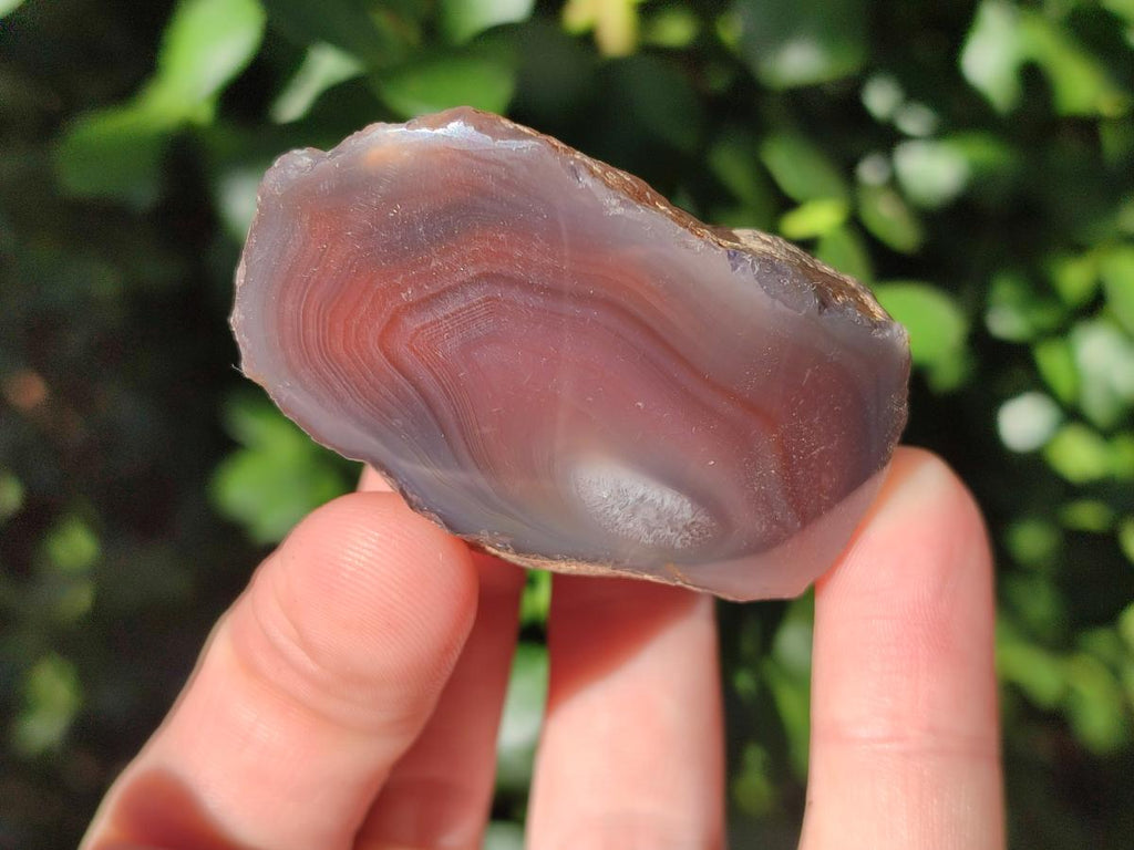 Polished One Side Small Red Shashe River Agate Nodules x 20 From Shashe River, Zimbabwe - Toprock Gemstones and Minerals 