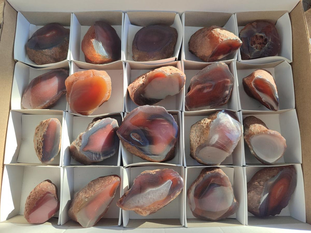 Polished One Side Small Red Shashe River Agate Nodules x 20 From Shashe River, Zimbabwe - Toprock Gemstones and Minerals 