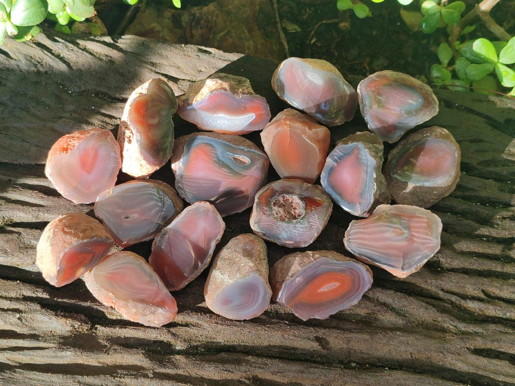 Polished One Side Small Red Shashe River Agate Nodules x 20 From Shashe River, Zimbabwe - Toprock Gemstones and Minerals 