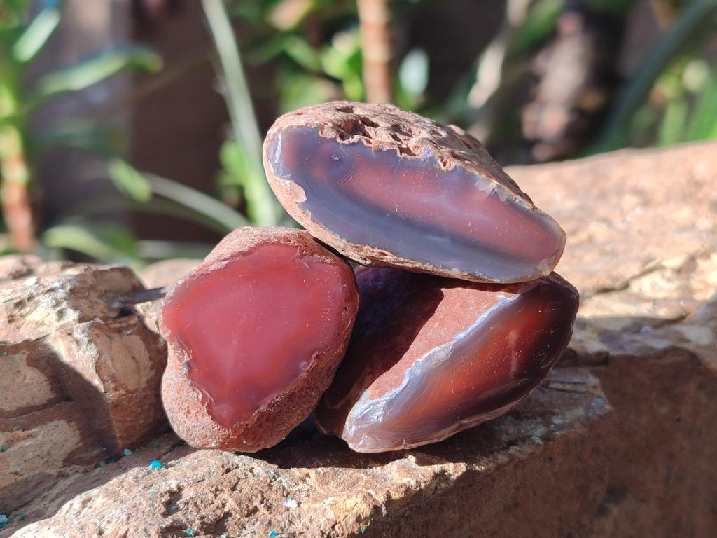 Polished One Side Small Red Shashe River Agate Nodules x 20 From Shashe River, Zimbabwe - Toprock Gemstones and Minerals 