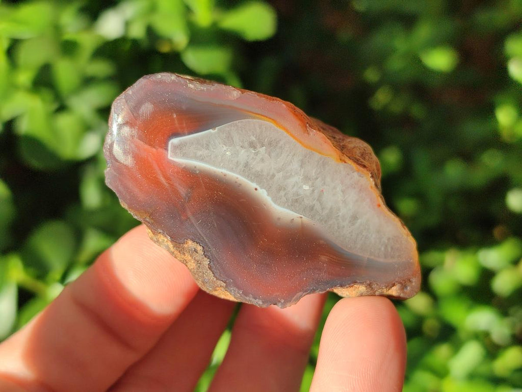 Polished One Side Small Red Shashe River Agate Nodules x 20 From Shashe River, Zimbabwe - Toprock Gemstones and Minerals 