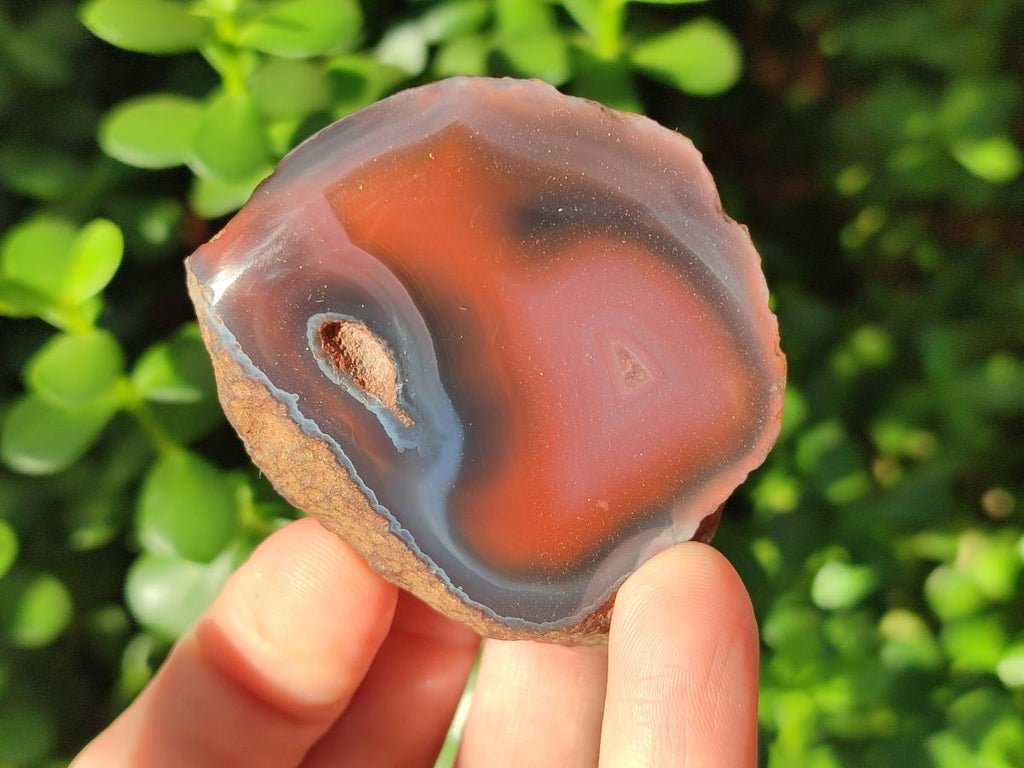 Polished One Side Small Red Shashe River Agate Nodules x 20 From Shashe River, Zimbabwe - Toprock Gemstones and Minerals 
