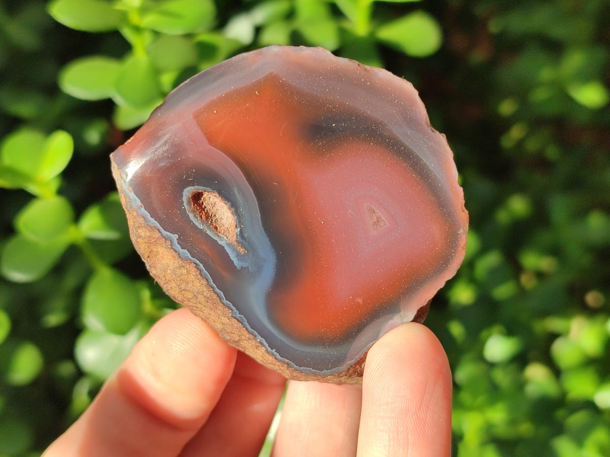 Polished One Side Small Red Shashe River Agate Nodules x 20 From Shashe River, Zimbabwe - Toprock Gemstones and Minerals 