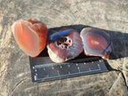 Polished One Side Small Red Shashe River Agate Nodules x 20 From Shashe River, Zimbabwe - Toprock Gemstones and Minerals 