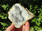 Natural Blue Lace Agate Geode Specimens x 12 From Nsanje, Malawi - Toprock Gemstones and Minerals 