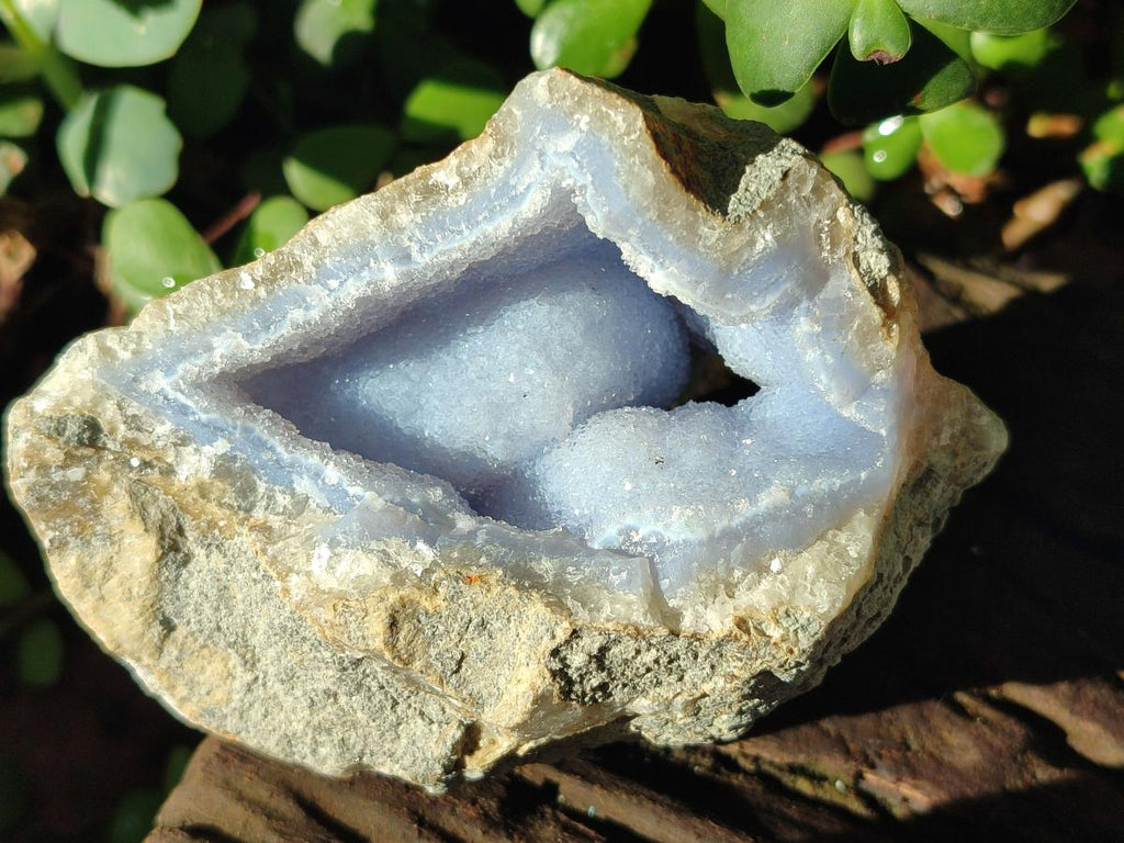 Natural Blue Lace Agate Geode Specimens x 12 From Nsanje, Malawi - Toprock Gemstones and Minerals 
