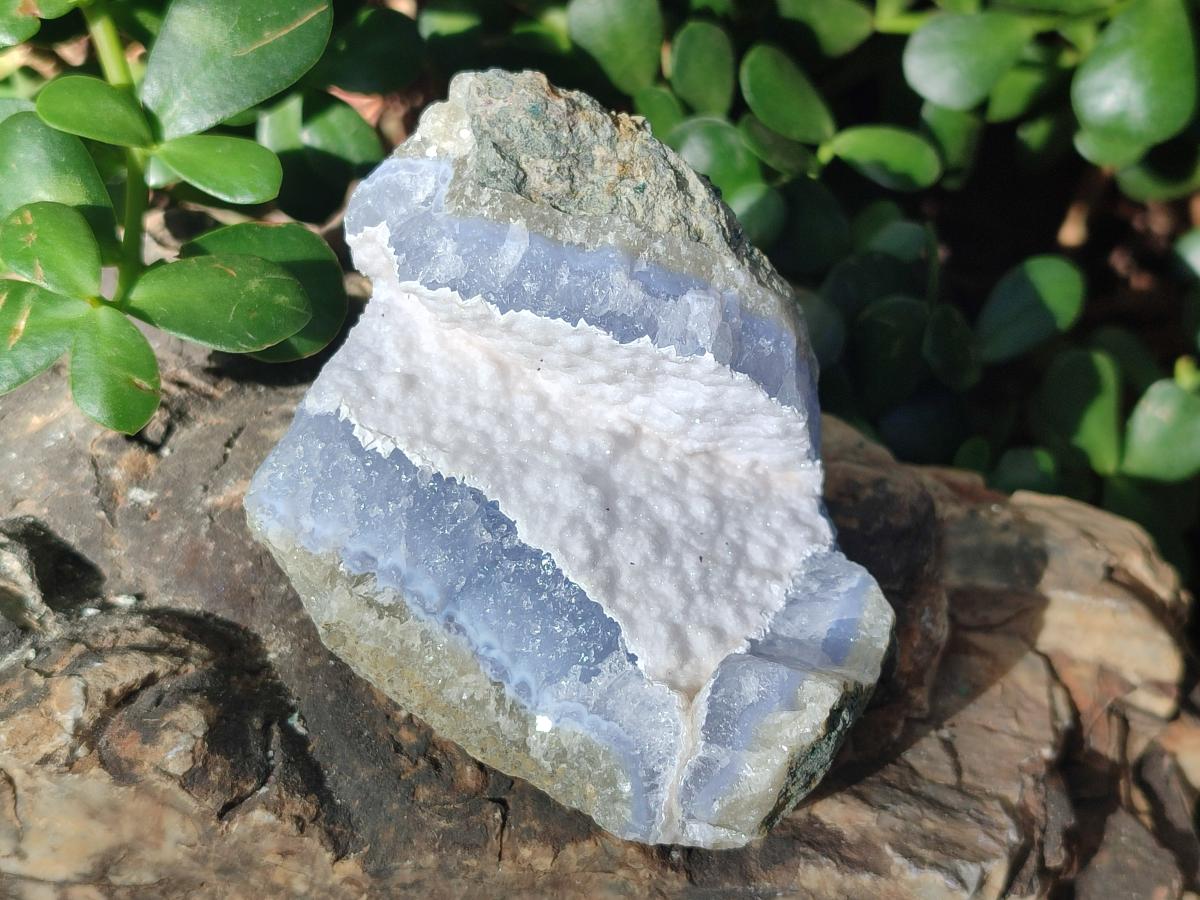 Natural Blue Lace Agate Geode Specimens x 12 From Nsanje, Malawi - Toprock Gemstones and Minerals 