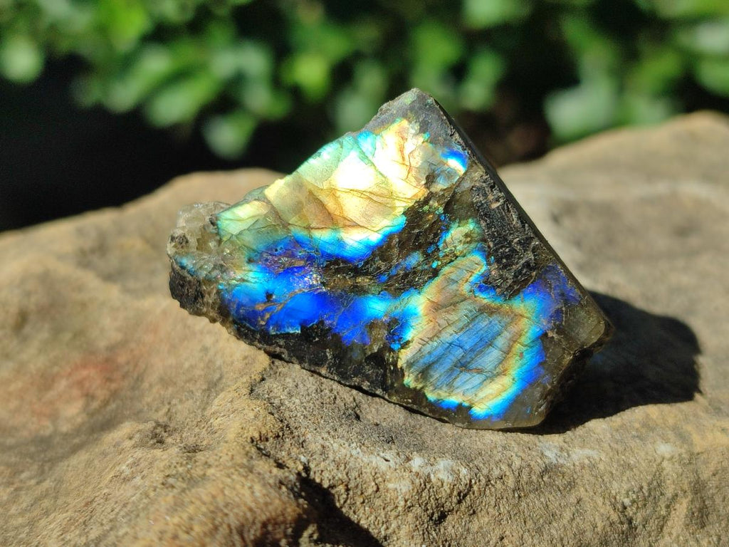 Polished Labradorite Slices x 35 From Madagascar - Toprock Gemstones and Minerals 