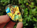 Polished Labradorite Slices x 35 From Madagascar - Toprock Gemstones and Minerals 