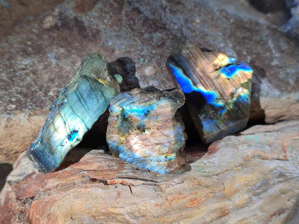 Polished Labradorite Slices x 35 From Madagascar - Toprock Gemstones and Minerals 