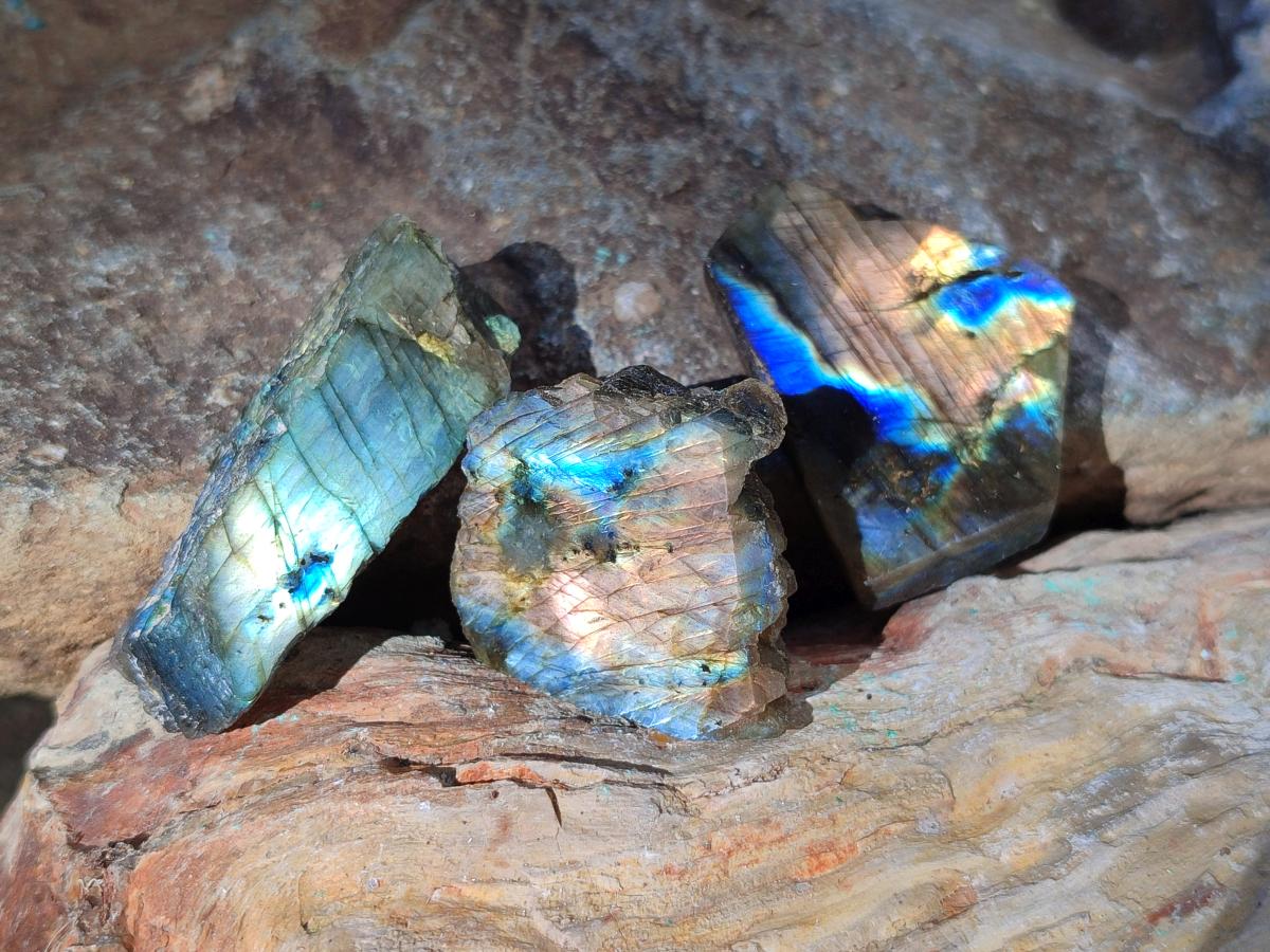 Polished Labradorite Slices x 35 From Madagascar - Toprock Gemstones and Minerals 