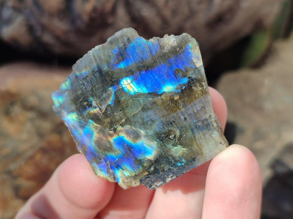 Polished Labradorite Slices x 35 From Madagascar - Toprock Gemstones and Minerals 