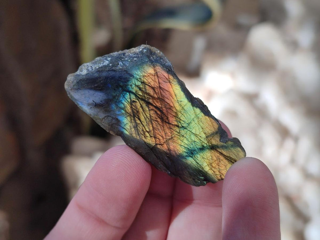 Polished Labradorite Slices x 35 From Madagascar - Toprock Gemstones and Minerals 
