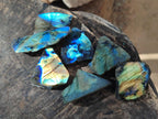 Polished Labradorite Slices x 35 From Madagascar - Toprock Gemstones and Minerals 