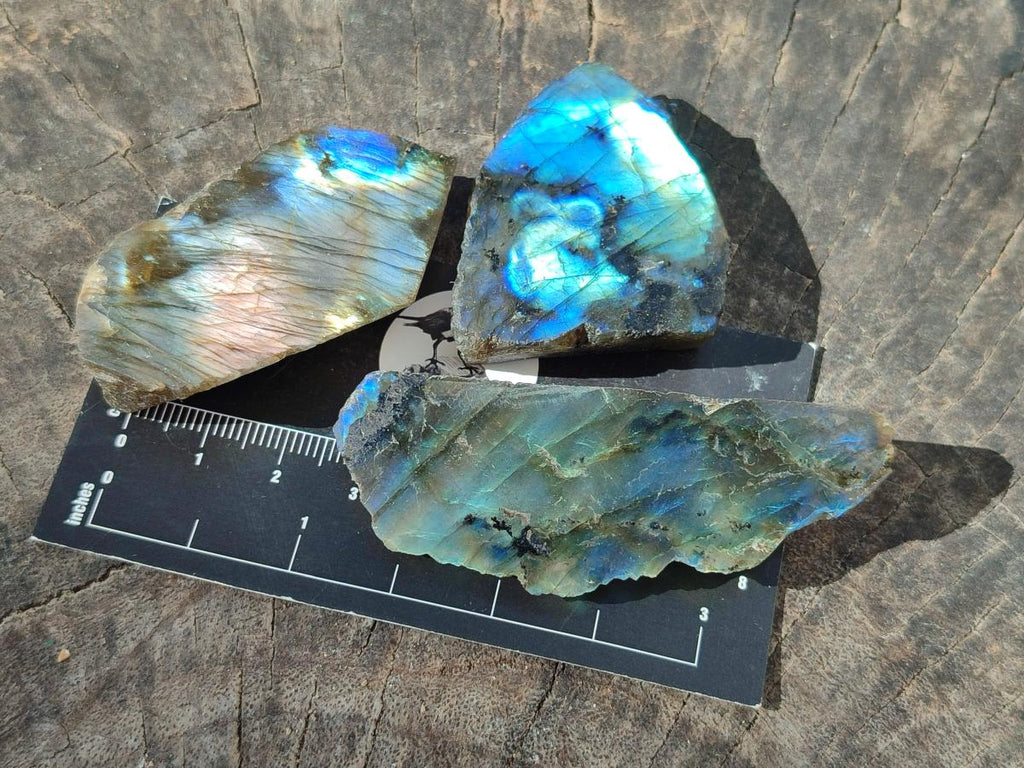 Polished Labradorite Slices x 35 From Madagascar - Toprock Gemstones and Minerals 