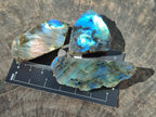 Polished Labradorite Slices x 35 From Madagascar - Toprock Gemstones and Minerals 