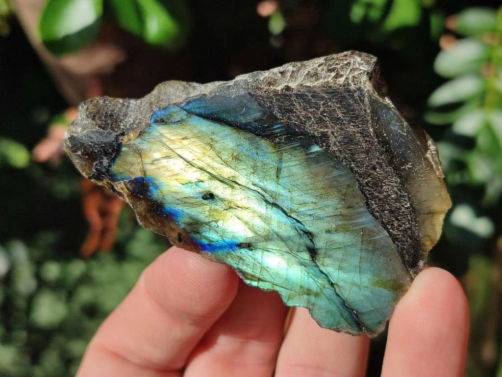 Polished Labradorite Slices x 35 From Madagascar - Toprock Gemstones and Minerals 