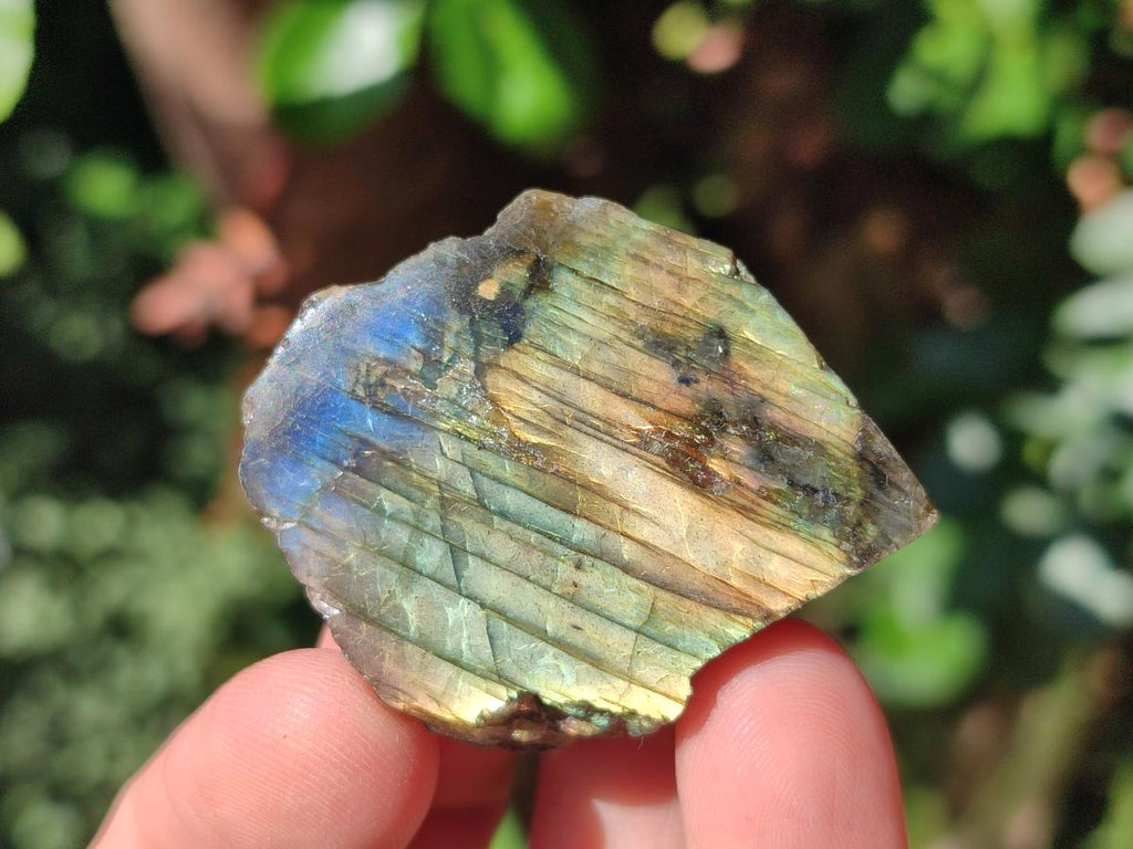 Polished Labradorite Slices x 35 From Madagascar - Toprock Gemstones and Minerals 