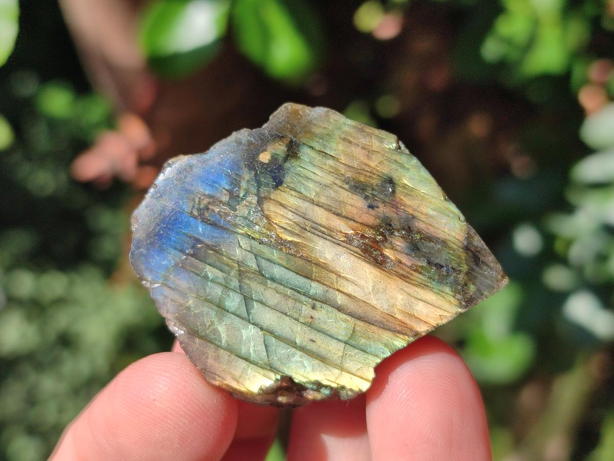 Polished Labradorite Slices x 35 From Madagascar - Toprock Gemstones and Minerals 