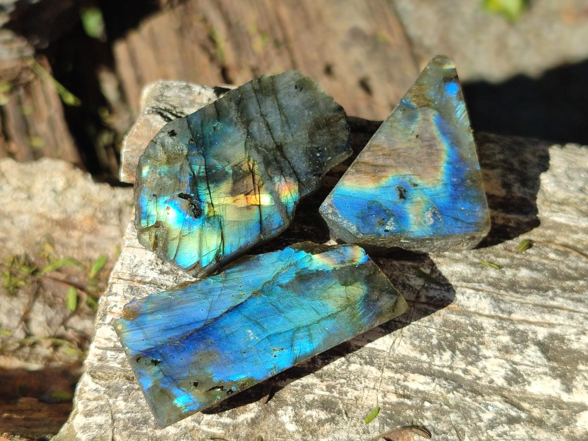 Polished Labradorite Slices x 35 From Madagascar - Toprock Gemstones and Minerals 