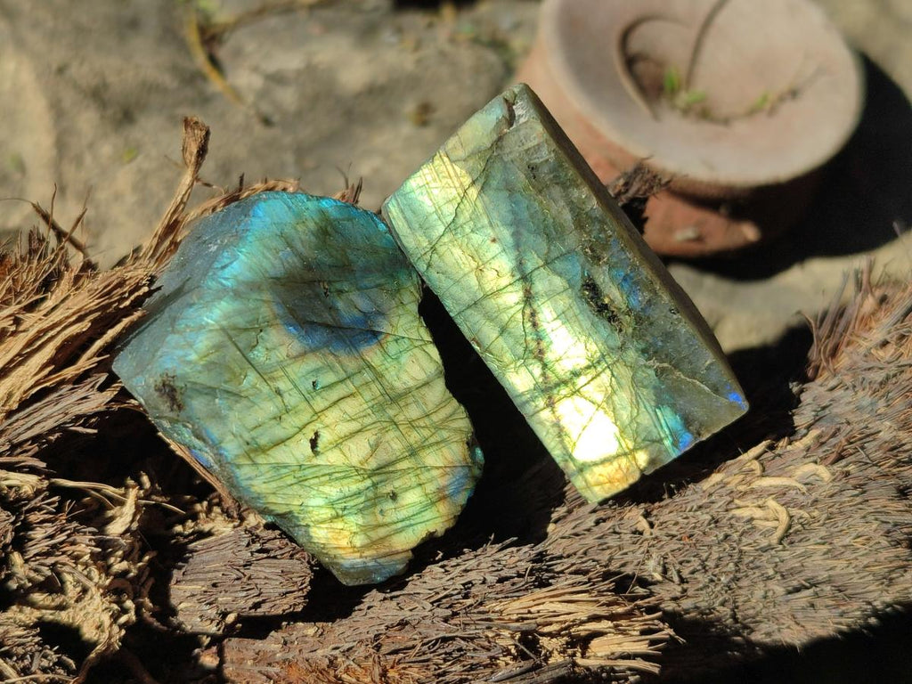 Polished Labradorite Slices x 35 From Madagascar - Toprock Gemstones and Minerals 