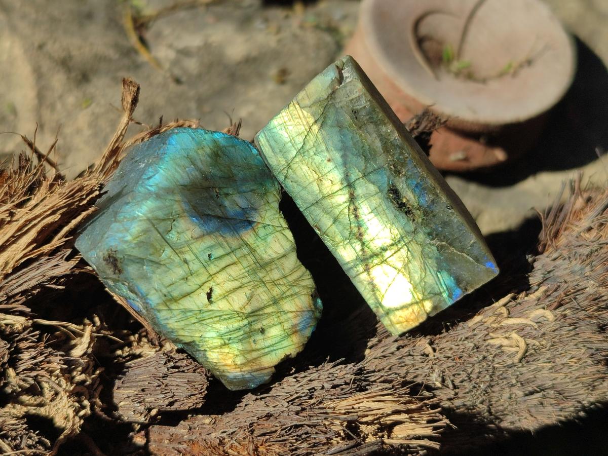 Polished Labradorite Slices x 35 From Madagascar - Toprock Gemstones and Minerals 