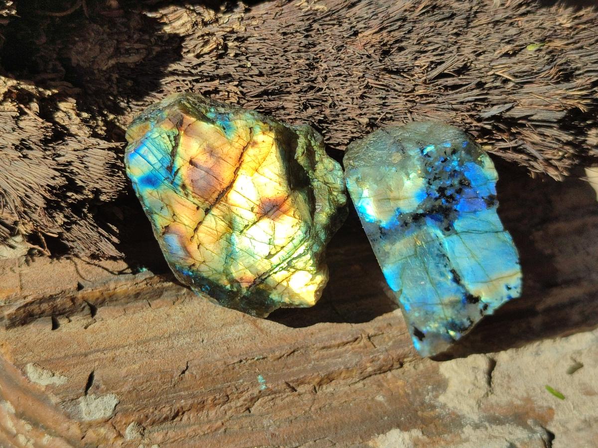 Polished Labradorite Slices x 35 From Madagascar - Toprock Gemstones and Minerals 
