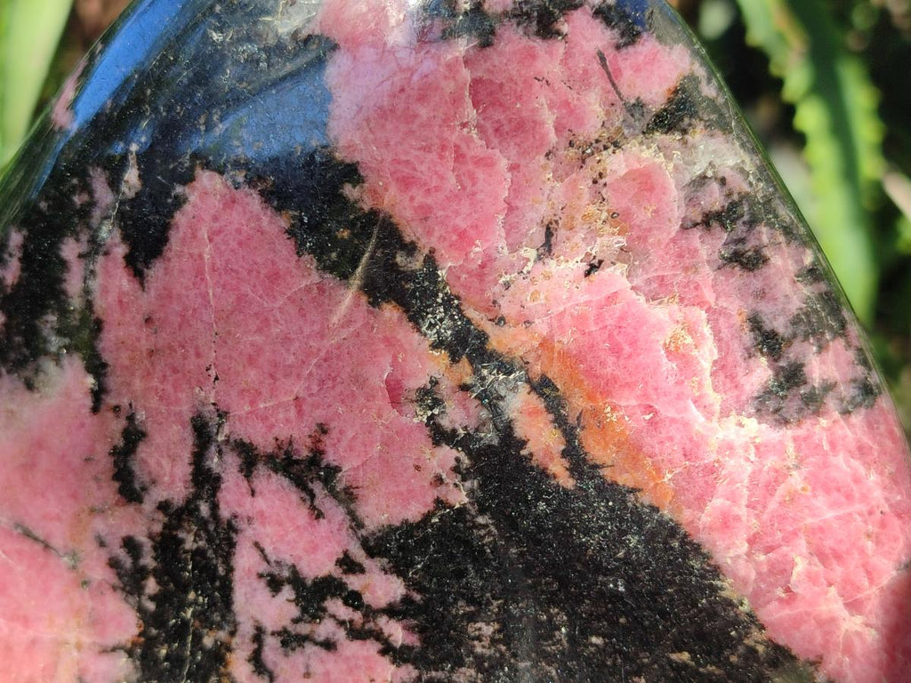 Polished Large Rhodonite Standing Free Form x 1 From Ambindavato, Madagascar - Toprock Gemstones and Minerals 