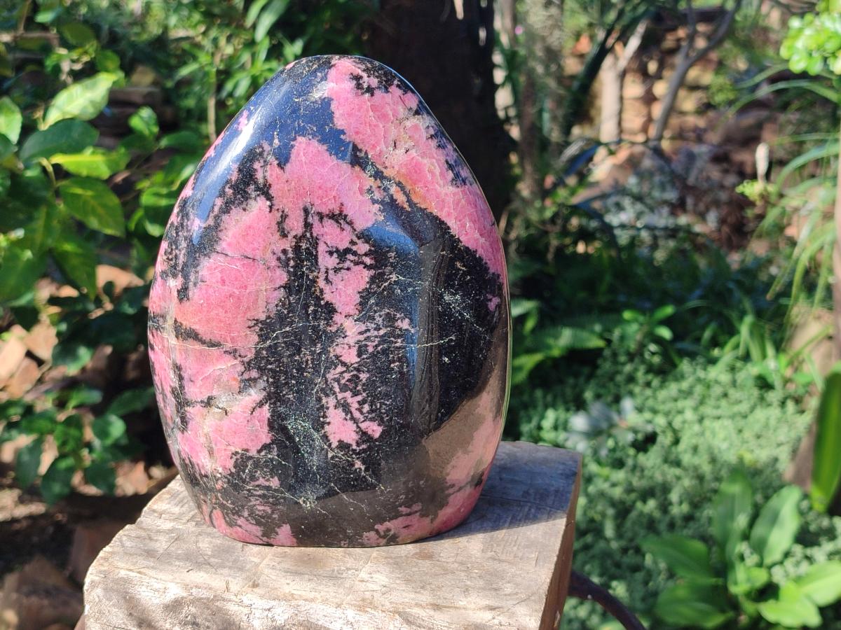 Polished Large Rhodonite Standing Free Form x 1 From Ambindavato, Madagascar - Toprock Gemstones and Minerals 