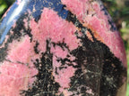 Polished Large Rhodonite Standing Free Form x 1 From Ambindavato, Madagascar - Toprock Gemstones and Minerals 