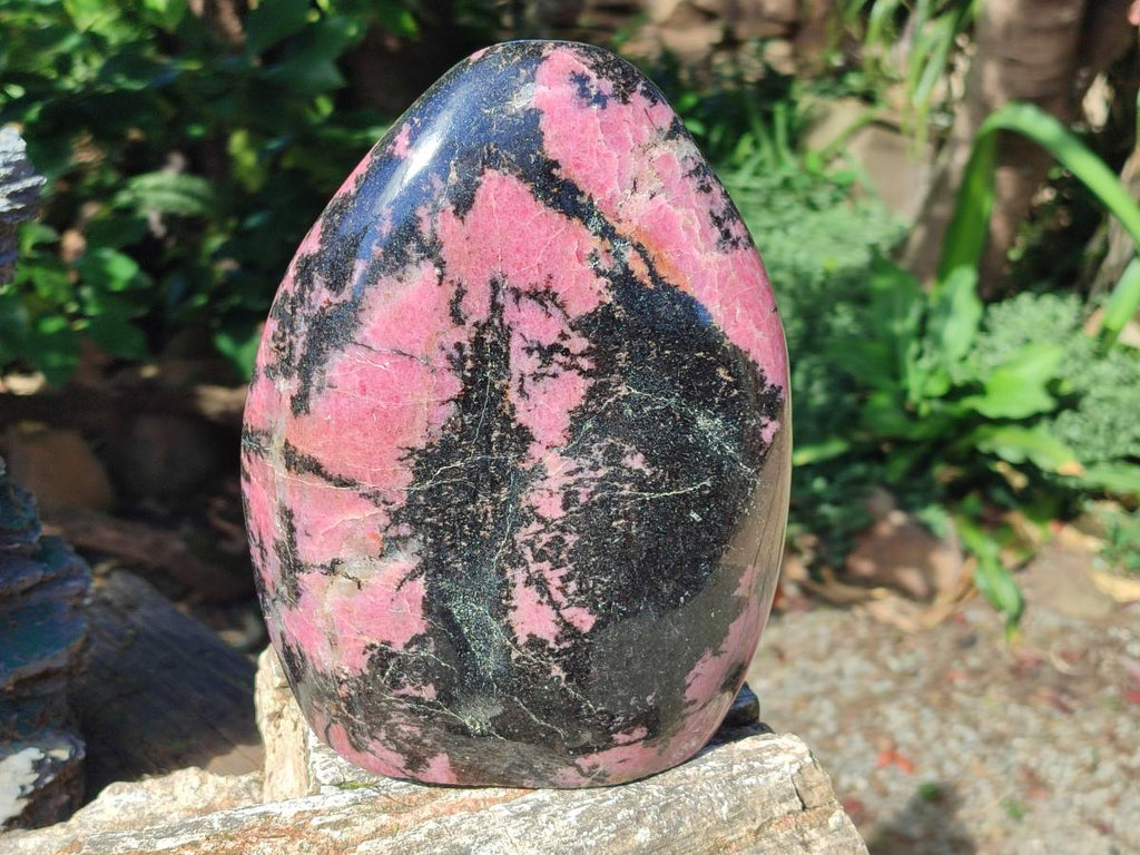 Polished Large Rhodonite Standing Free Form x 1 From Ambindavato, Madagascar - Toprock Gemstones and Minerals 