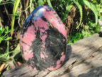 Polished Large Rhodonite Standing Free Form x 1 From Ambindavato, Madagascar - Toprock Gemstones and Minerals 