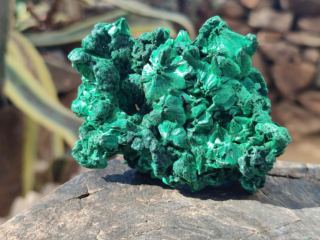 Natural Silky Malachite Specimens x 6 From Kasompe, Congo - Toprock Gemstones and Minerals 