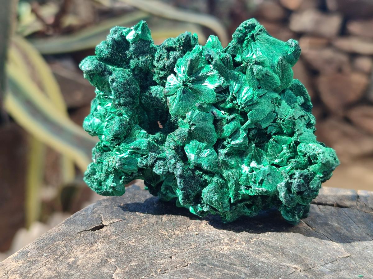 Natural Silky Malachite Specimens x 6 From Kasompe, Congo - Toprock Gemstones and Minerals 