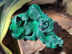 Natural Silky Malachite Specimens x 6 From Kasompe, Congo - Toprock Gemstones and Minerals 