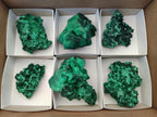 Natural Silky Malachite Specimens x 6 From Kasompe, Congo - Toprock Gemstones and Minerals 