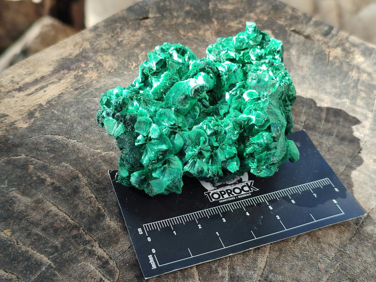 Natural Silky Malachite Specimens x 6 From Kasompe, Congo - Toprock Gemstones and Minerals 
