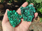 Natural Silky Malachite Specimens x 6 From Kasompe, Congo - Toprock Gemstones and Minerals 