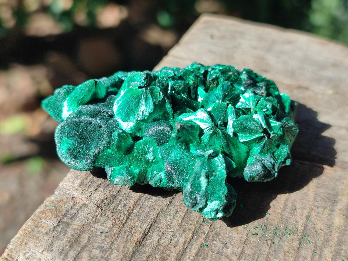 Natural Silky Malachite Specimens x 6 From Kasompe, Congo - Toprock Gemstones and Minerals 