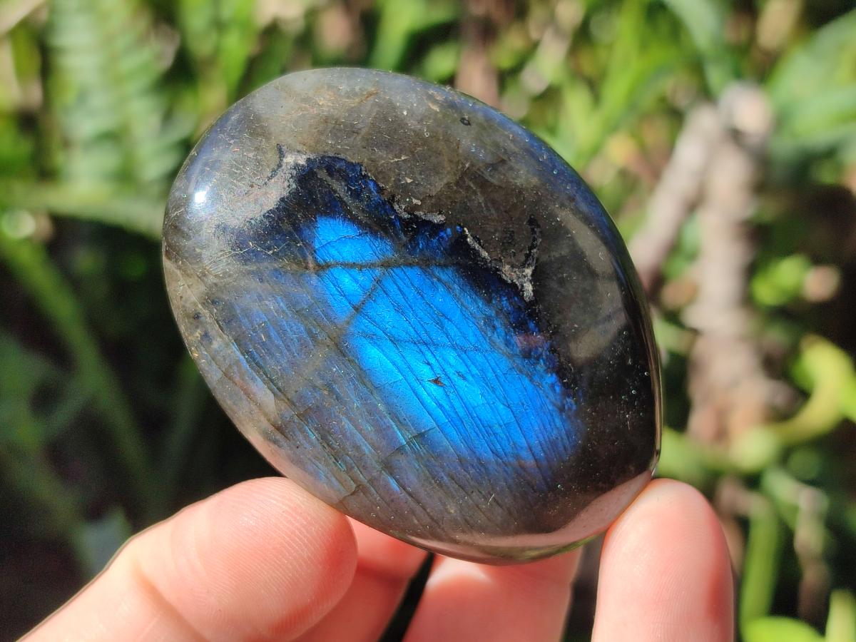 Polished Labradorite Palm Stones x 12 From Madagascar - Toprock Gemstones and Minerals 