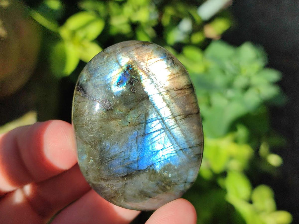 Polished Labradorite Palm Stones x 12 From Madagascar - Toprock Gemstones and Minerals 