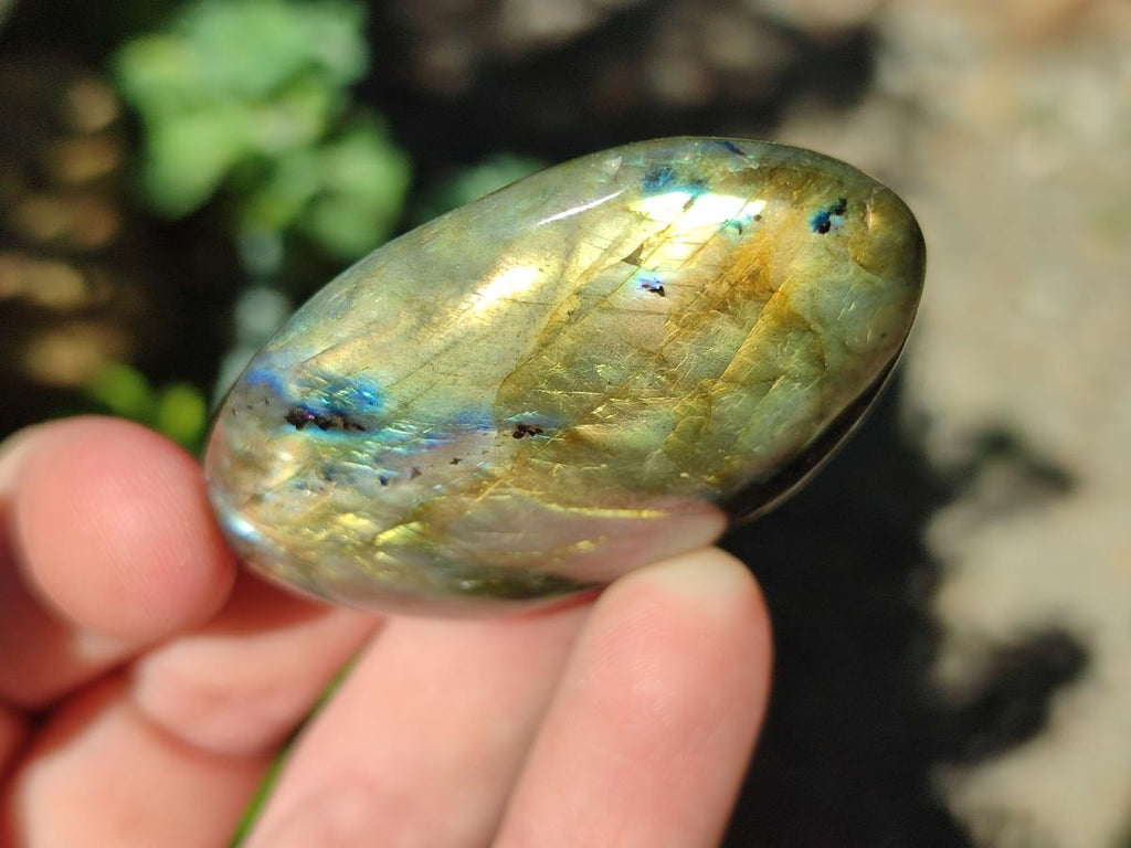 Polished Labradorite Palm Stones x 12 From Madagascar - Toprock Gemstones and Minerals 