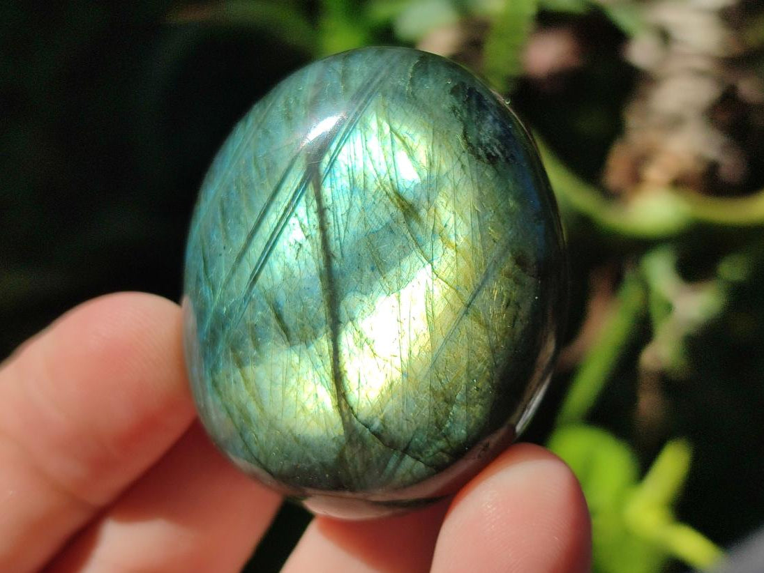 Polished Labradorite Palm Stones x 12 From Madagascar - Toprock Gemstones and Minerals 