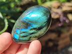 Polished Labradorite Palm Stones x 12 From Madagascar - Toprock Gemstones and Minerals 
