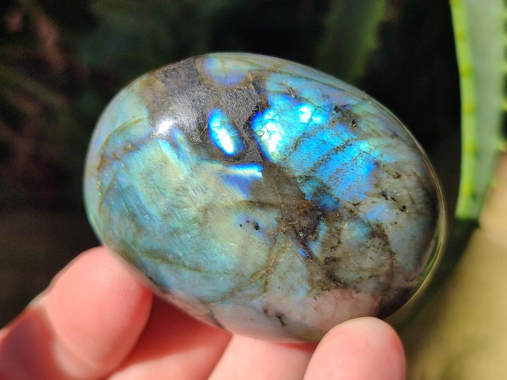 Polished Labradorite Palm Stones x 12 From Madagascar - Toprock Gemstones and Minerals 