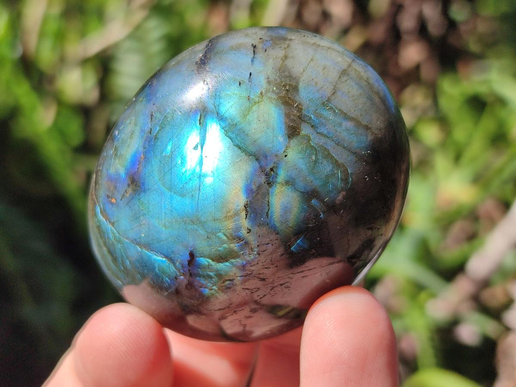 Polished Labradorite Palm Stones x 12 From Madagascar - Toprock Gemstones and Minerals 