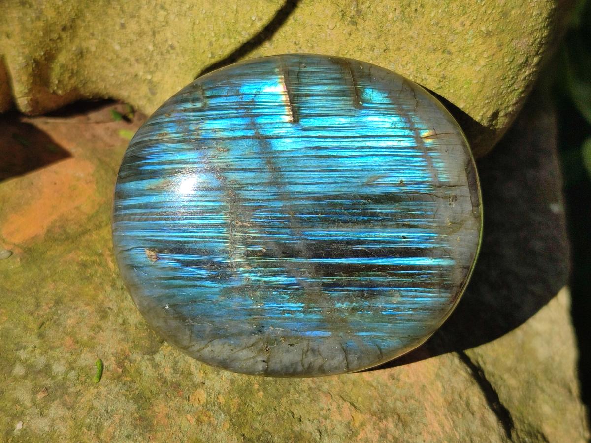 Polished Labradorite Palm Stones x 12 From Madagascar - Toprock Gemstones and Minerals 