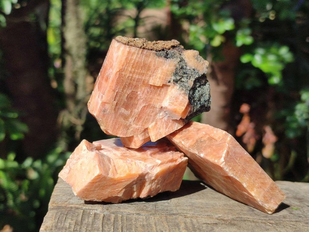 Natural Rhombohedral Sunset Orange Calcite Specimens x 12 From Spitzkop, Namibia - Toprock Gemstones and Minerals 